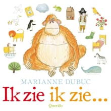 Ik zie ik zie ... - Marianne Dubuc