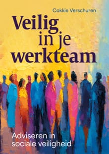 Veilig in je werkteam - Cokkie Verschuren
