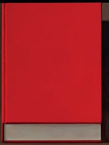 Liu Ye: The Book Paintings - Liu Ye, Zhu Zhu, ...