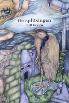 De splitsingen - Steff Geelen
