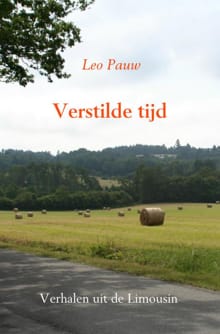 Verstilde tijd - Leo Pauw