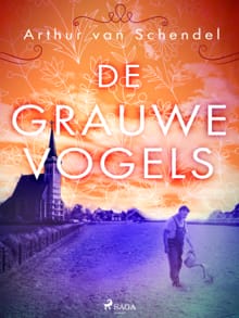 De grauwe vogels - Arthur van Schendel