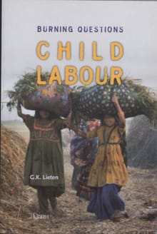 Child Labour - Georges Kristoffel Lieten