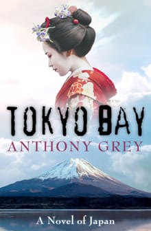 Tokyo Bay - Anthony Grey