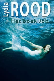 Het boek Job - Lydia Rood