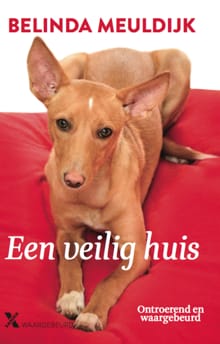 Een veilig huis - Belinda Meuldijk