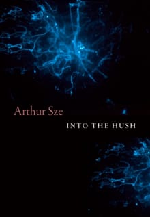 Into the Hush - Arthur Sze