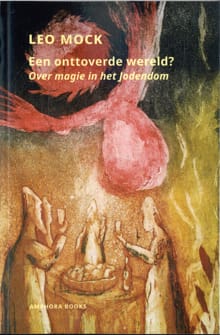 Een onttoverde wereld? - Leo Mock