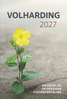 Volharding | 2027 - Diverse Auteurs