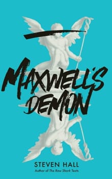“Maxwell's Demon