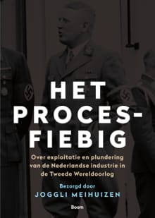 Het Proces-Fiebig - Joggli Meihuizen