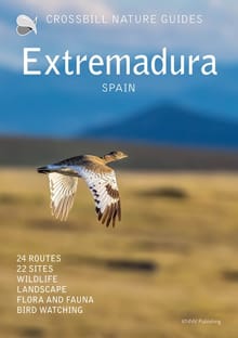 Crossbill Nature Guide Extremadura - Dirk Hilbers