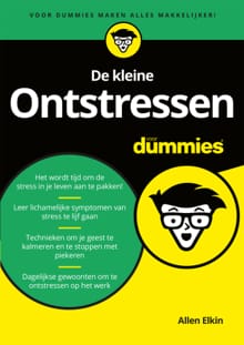 De kleine ontstressen voor dummies - Allen Elkin