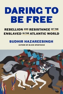 Daring to Be Free: Rebellion and Resistance of the Enslaved in the Atlantic World - Sudhir Hazareesingh