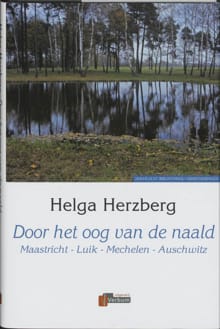 Door het oog van de naald - H. Herzberg