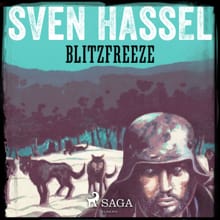 Blitzfreeze - Sven Hassel