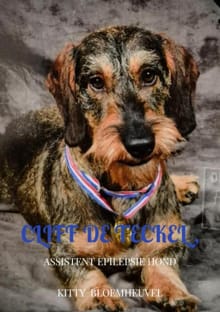 Cliff de Teckel, een hond van goud - Kitty Bloemheuvel