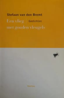Een vlieg met gouden vleugels -  Van Den Bremt, Stefaan van den Bremt