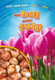 Van bol naar tulp - Rachel Grack