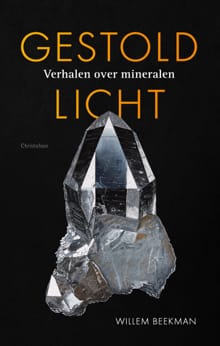 Gestold licht - Willem Beekman