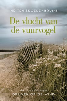 De vlucht van de vuurvogel - Ine ten Broeke-Bruins