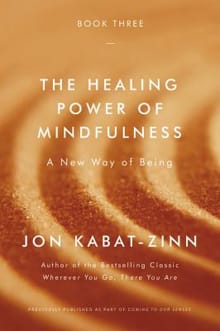 Healing Power of Mindfulness - Jon Kabat-Zinn