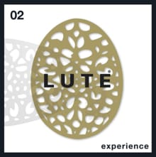 Experience - Peter Lute, Marieke Lute