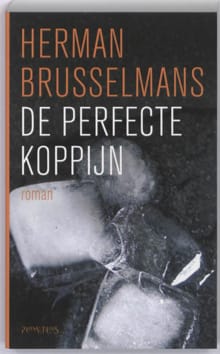 Perfecte koppijn - Herman Brusselmans