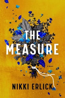 Measure - Nikki Erlick