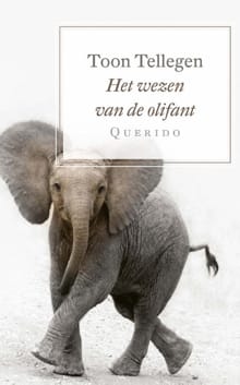 Het wezen van de olifant - Toon Tellegen