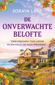 De onverwachte belofte