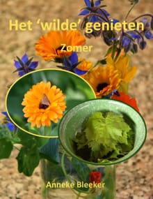 Het ´wilde´ genieten - Anneke Bleeker