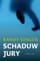 Schaduwjury