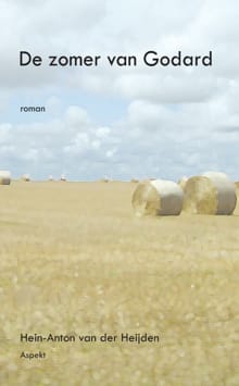 De zomer van Godard - Hein-Anton van der Heijden