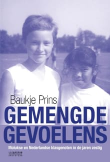 Gemengde gevoelens - Baukje Prins