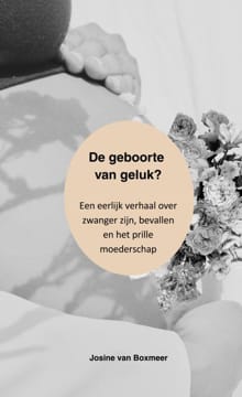 De geboorte van geluk? - Josine van Boxmeer