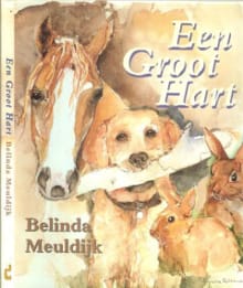 Een groot hart -  Meuldijk B., Belinda Meuldijk