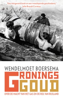 Gronings goud - Wendelmoet Boersema