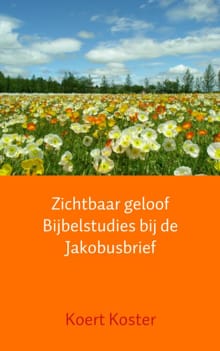 Zichtbaar geloof Bijbelstudies bij de Jakobusbrief - Koert Koster