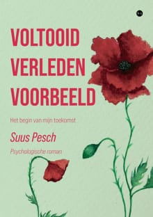Voltooid verleden voorbeeld - Suus Pesch