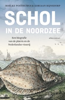 Schol in de Noordzee - Roelke Posthumus, Adriaan Rijnsdorp