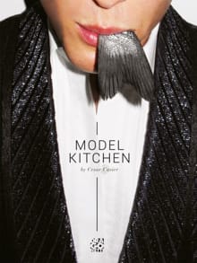 Model Kitchen (eng) - Cesar Casier