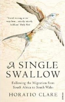 “A Single Swallow