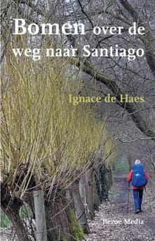 Bomen over de weg naar Santiago - Ignace de Haes